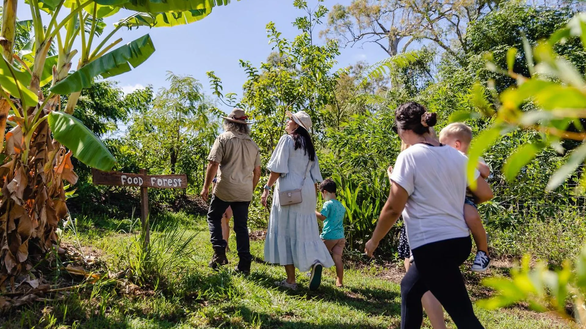 Farm stay High Valley Dawn Permaculture Farm Yeppoon