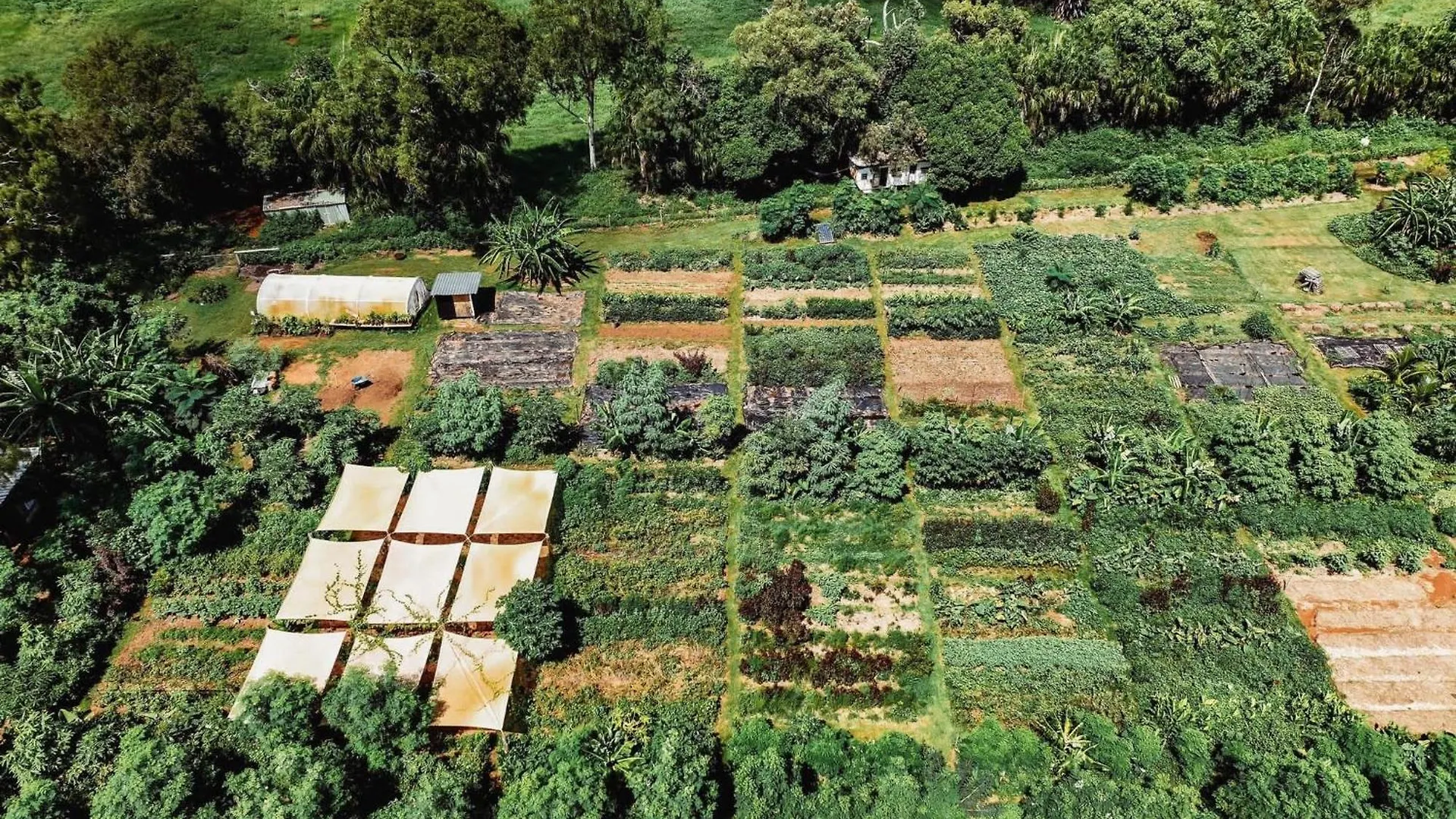 Farm stay High Valley Dawn Permaculture Farm Yeppoon